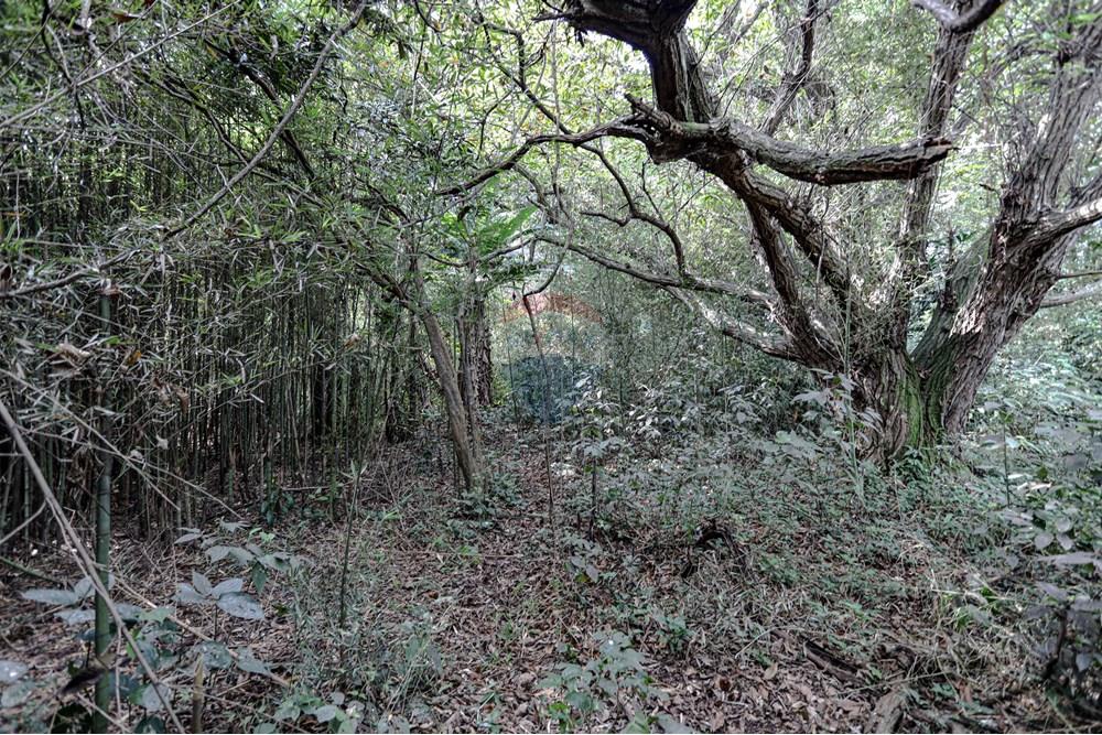 Terreno - Venda - Suzano , São Paulo - Remax- Estrada do Ribeirão 500 Suzano -7096.jpg - 630281011-753