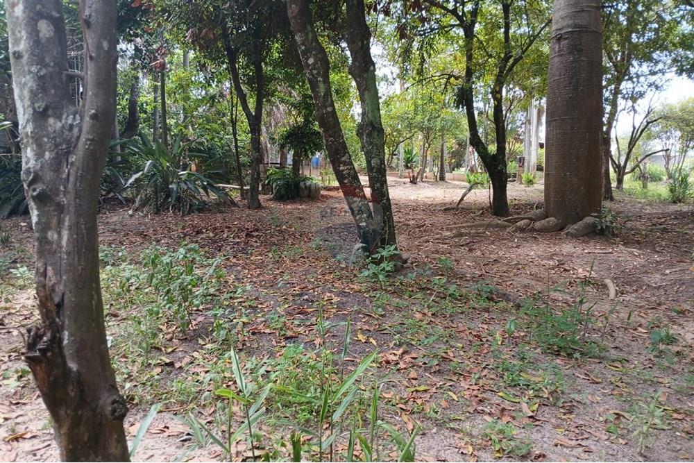 Chácara / Sítio / Fazenda - Venda - Salto de Pirapora , São Paulo - 226.jpeg - 631181053-21