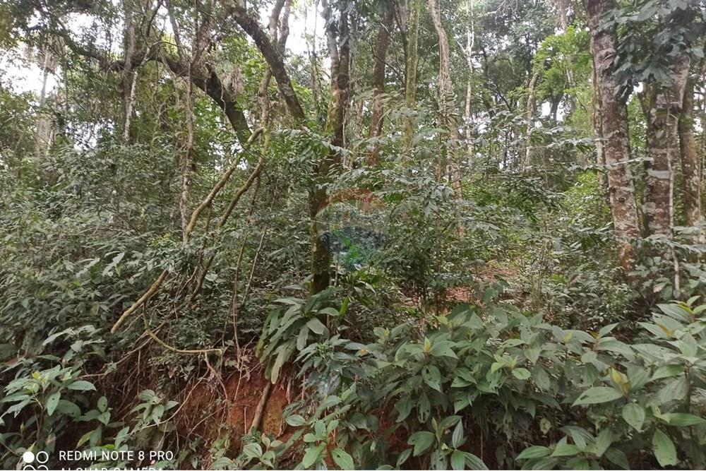 Terreno - Venda - Mairiporã , São Paulo - WhatsApp Image 2025-07-28 at 23.50.07 (2).jpeg - 631361025-37