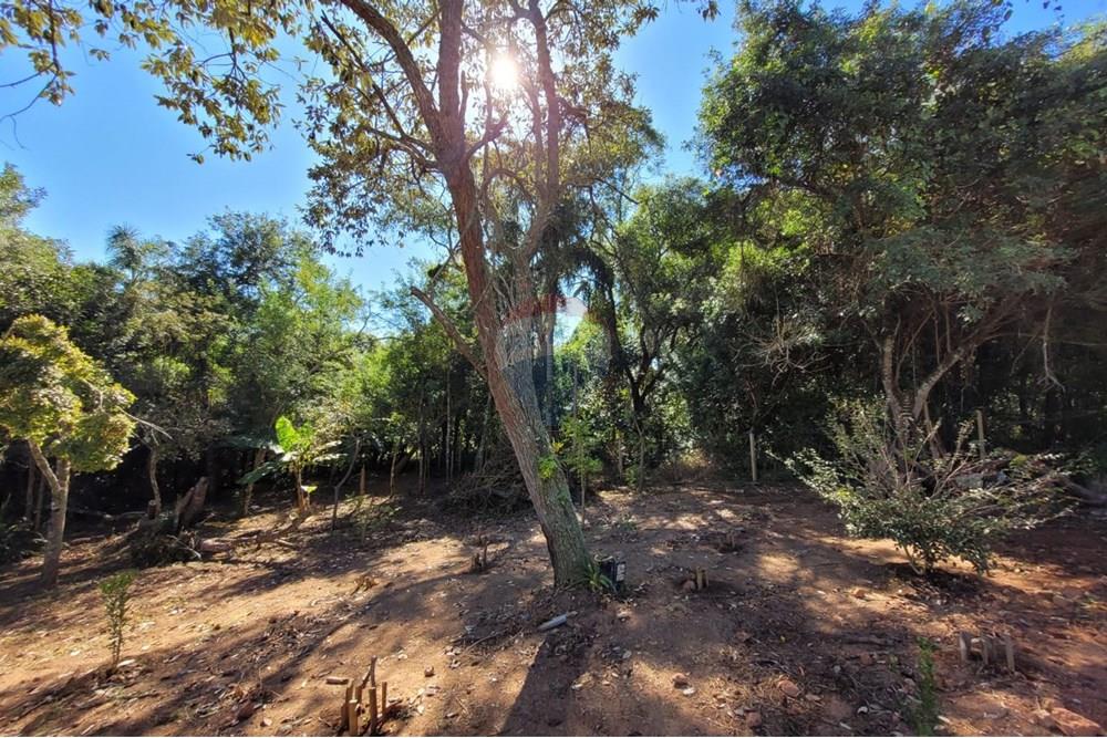 Chácara / Sítio / Fazenda - Venda - Ibiúna , São Paulo - 26.jpeg - 631331004-46