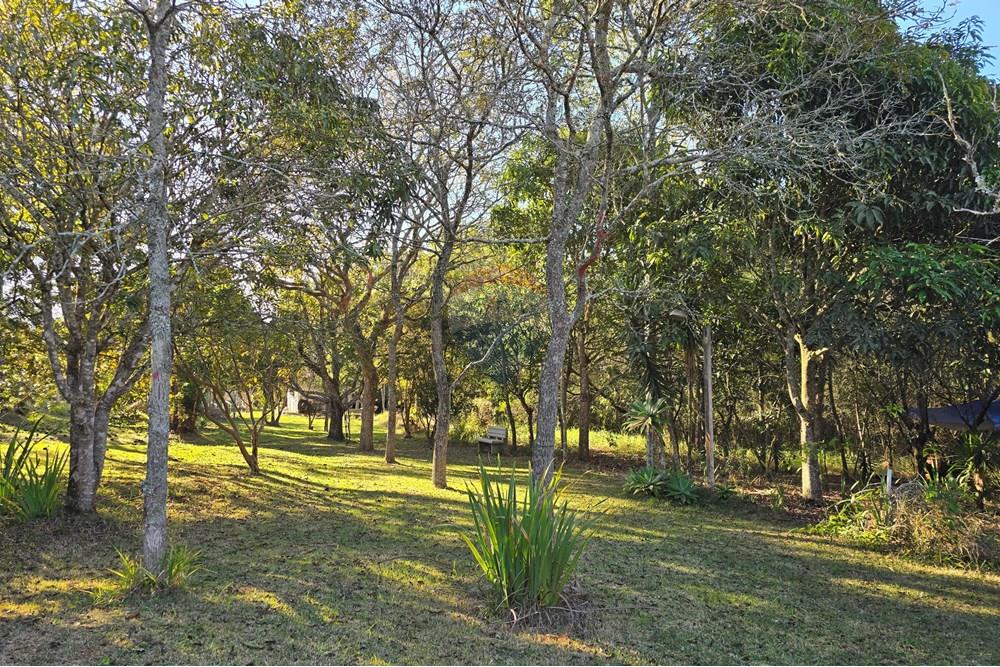 Chácara / Sítio / Fazenda - Venda - Pardinho , São Paulo - 20250730_162501.jpg - 630481103-118