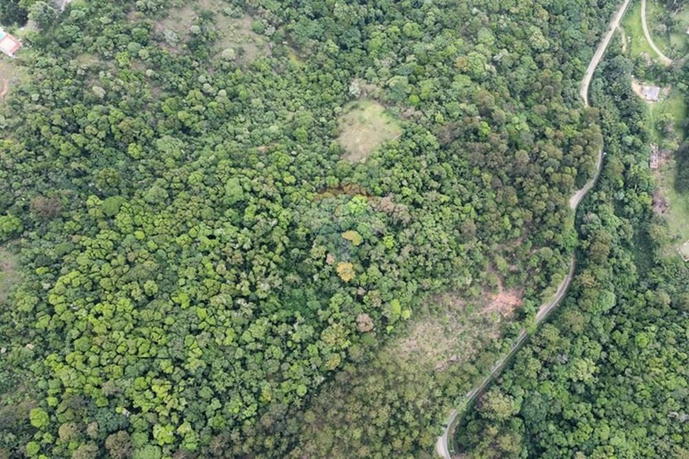 Terreno - Venda - Mairiporã , São Paulo - dji_fly_20251114_111420_823_1763130149264_photo_optimized.jpg - 631361005-166