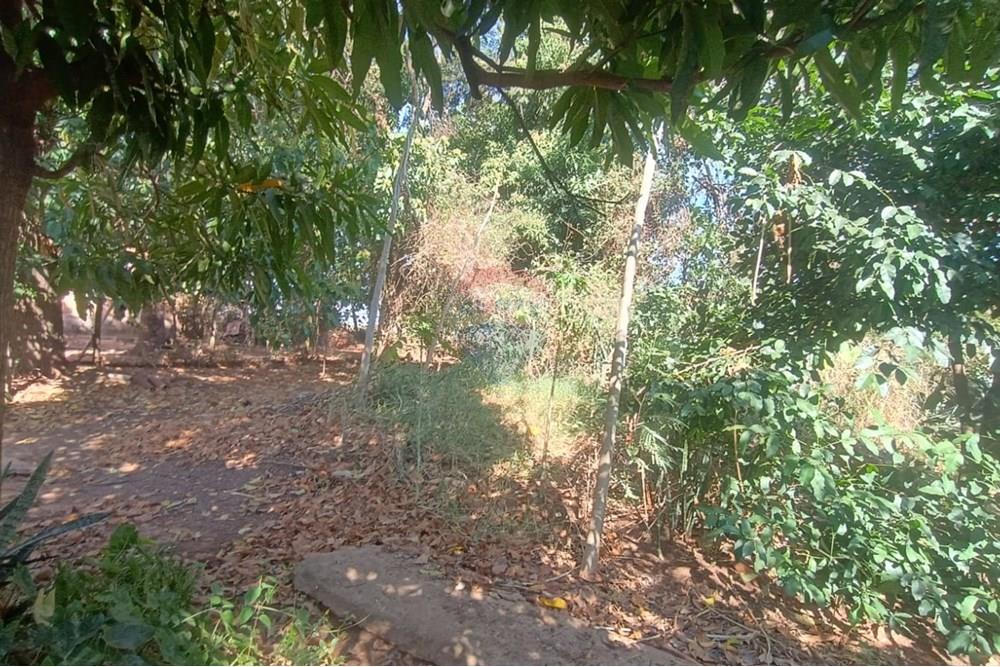 Terreno - Venda - Lins , São Paulo - 02.jpg - 631011048-4