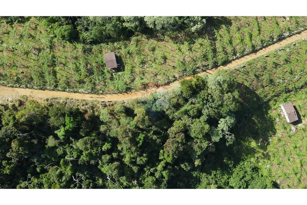 Chácara / Sítio / Fazenda - Venda - Petrópolis , Rio de Janeiro - c18.jpg - 630131071-36