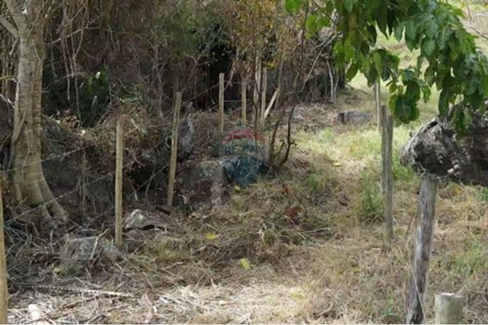 Terreno - Venda - Paraíba do Sul , Rio de Janeiro - 13.jpg - 631611011-3