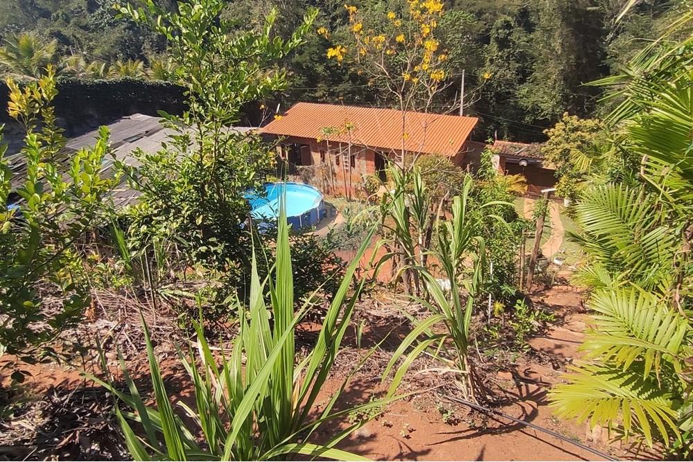 Terreno - Venda - Paraíba do Sul , Rio de Janeiro - IMG_20250911_133624.jpg - 631411007-4