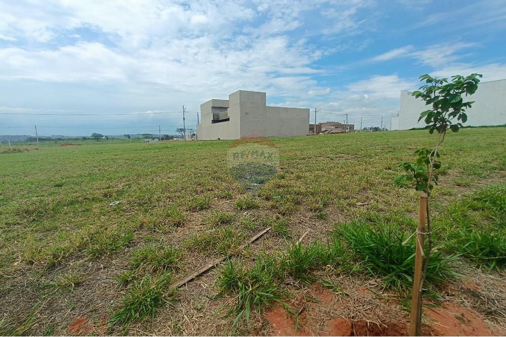 Terreno - Venda - Presidente Prudente , São Paulo - IMG_20251028_135401.jpg - 630861066-10