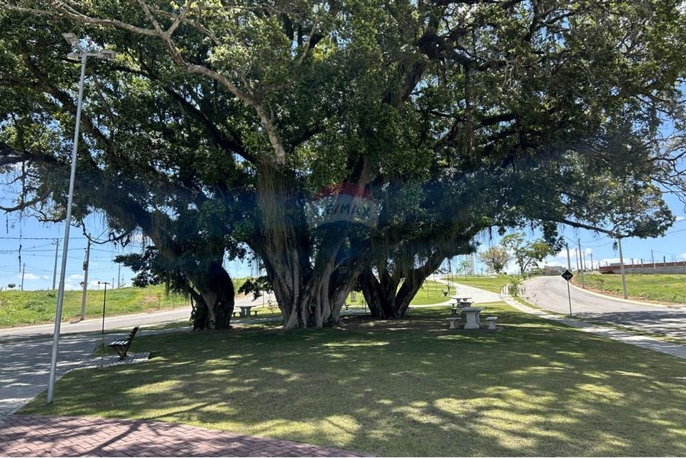 Terreno - Venda - Caçapava , São Paulo - WhatsApp Image 2025-11-14 at 17.53.06 (1).jpeg - 631501002-146