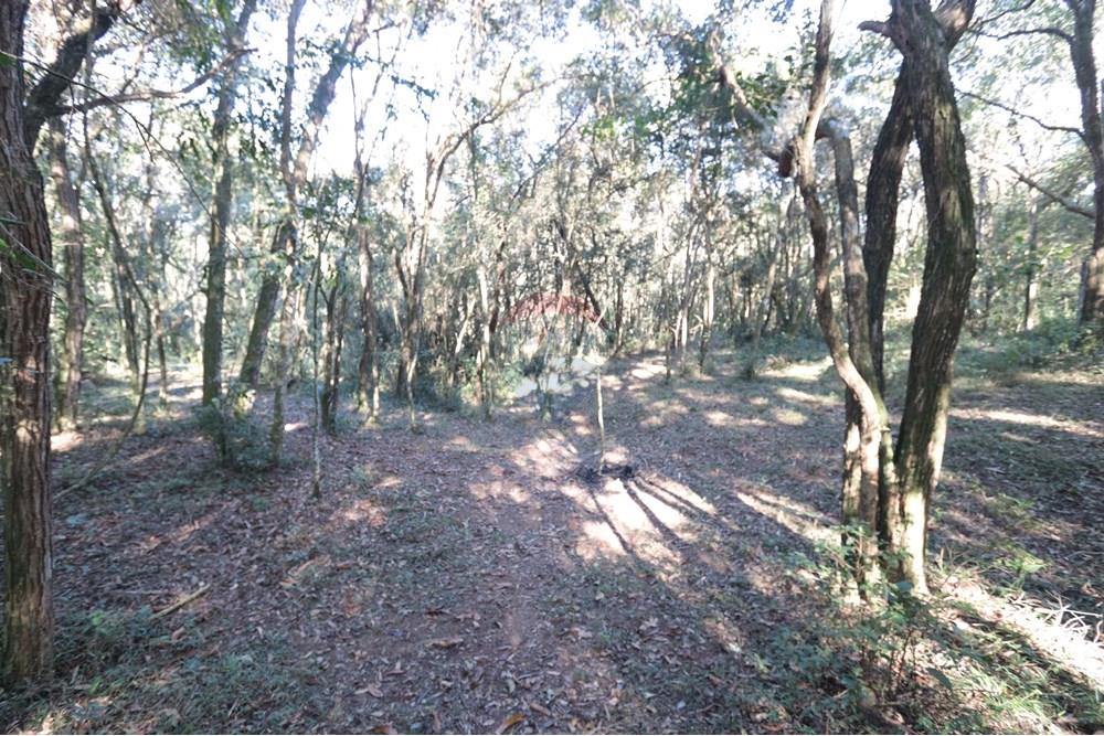 Casa de Campo - Venda - São Roque , São Paulo - IMG_4133.JPG - 631601009-26