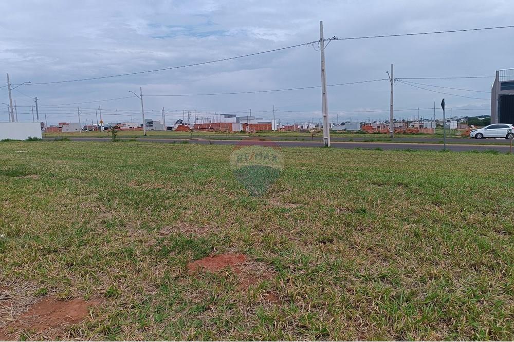 Terreno - Venda - Presidente Prudente , São Paulo - IMG_20251028_135510.jpg - 630861066-10