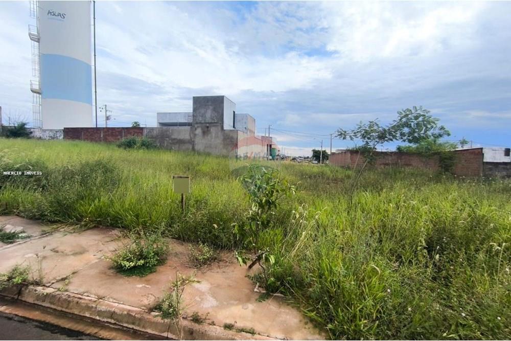 Terreno - Venda - Andradina , São Paulo - WhatsApp Image 2025-04-10 at 16.00.30.jpeg - 631201029-43