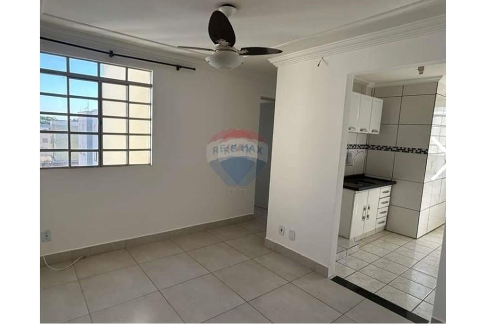 Apartamento - Alugar - Araçatuba , São Paulo - IMG-20251209-WA0066.jpg - 630541060-10