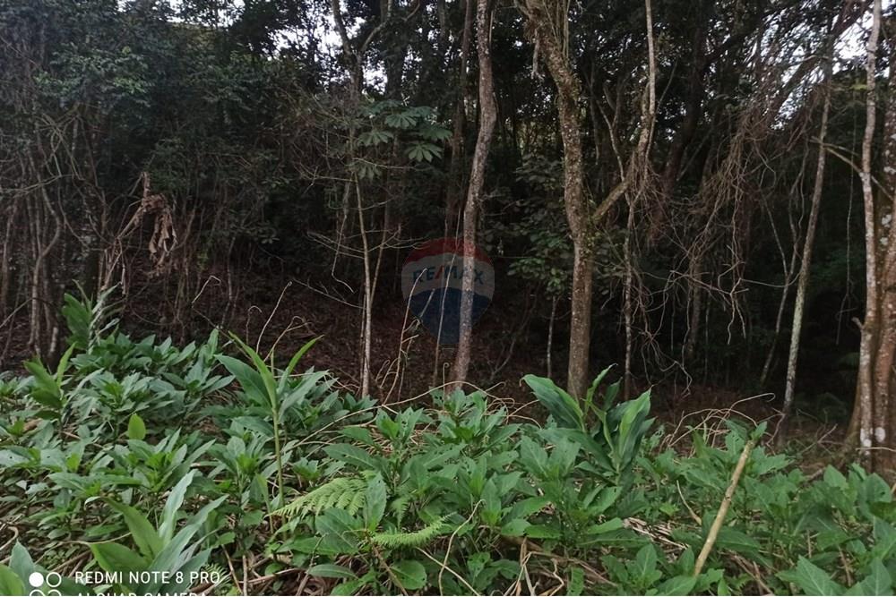 Terreno - Venda - Mairiporã , São Paulo - WhatsApp Image 2025-08-02 at 00.48.43 (1).jpeg - 631361025-36