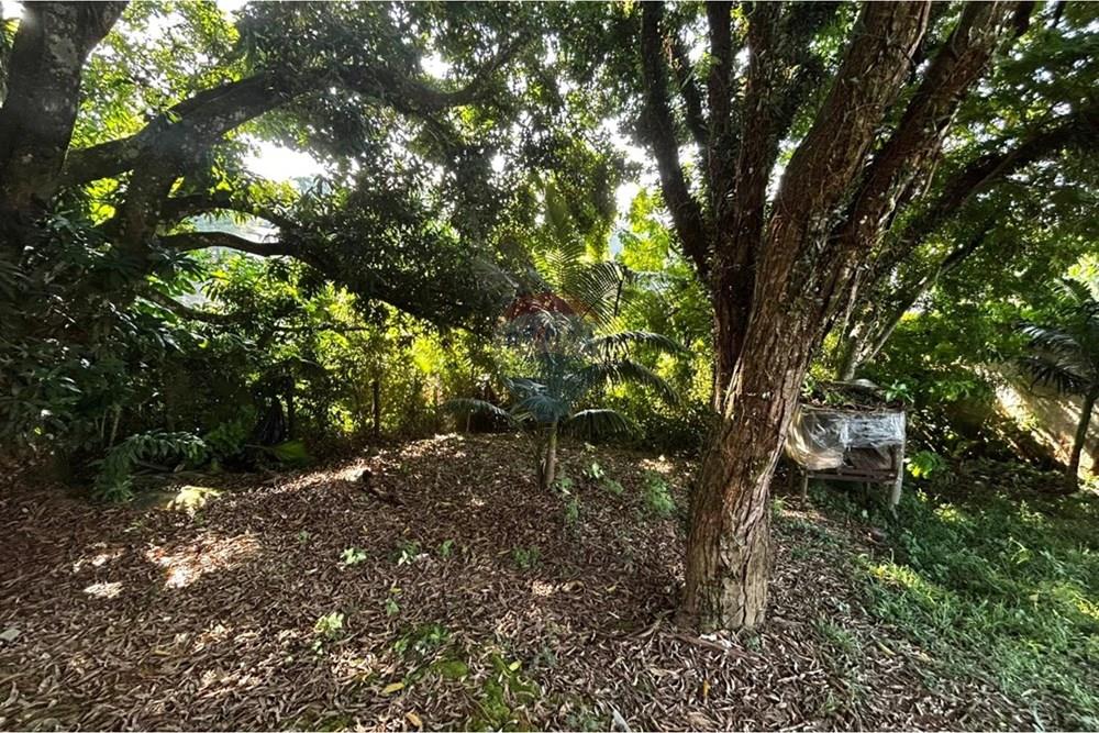 Casa - Alugar - Ilhabela , São Paulo - WhatsApp Image 2026-03-16 at 17.52.44.jpeg - 690881023-85