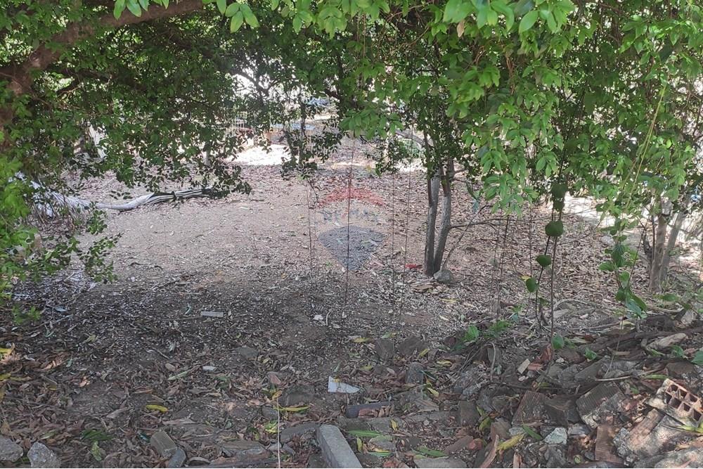 Terreno - Venda - Paraíba do Sul , Rio de Janeiro - IMG_20251106_140056.jpg - 631411001-102