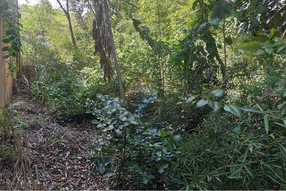 Terreno - Venda - Paraíba do Sul , Rio de Janeiro - IMG_20251106_140032.jpg - 631411001-102