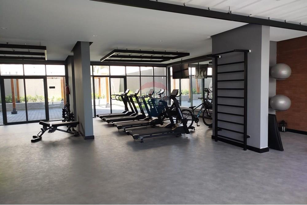 Studio - Alugar - São José dos Campos , São Paulo - WhatsApp Image 2025-11-27 at 14.19.04 (4).jpeg - 631631012-4