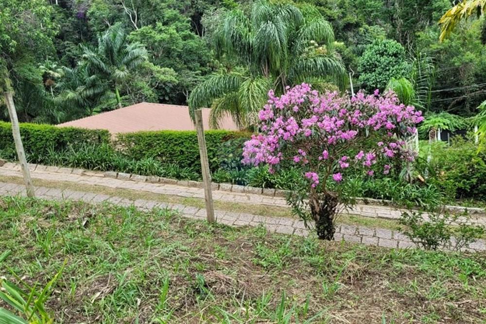 Terreno - Venda - Teresópolis , Rio de Janeiro - WhatsApp Image 2026-03-11 at 07.51.22 (2).jpeg - 630191030-40