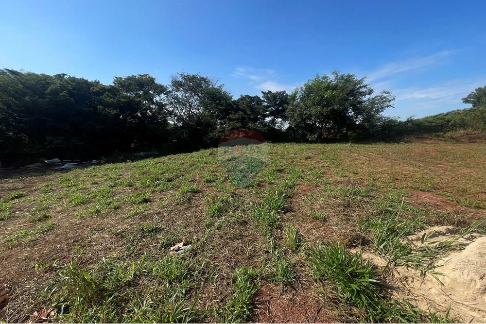 Terreno - Venda - São José do Rio Preto , São Paulo - IMG_7253.JPG - 630401028-46