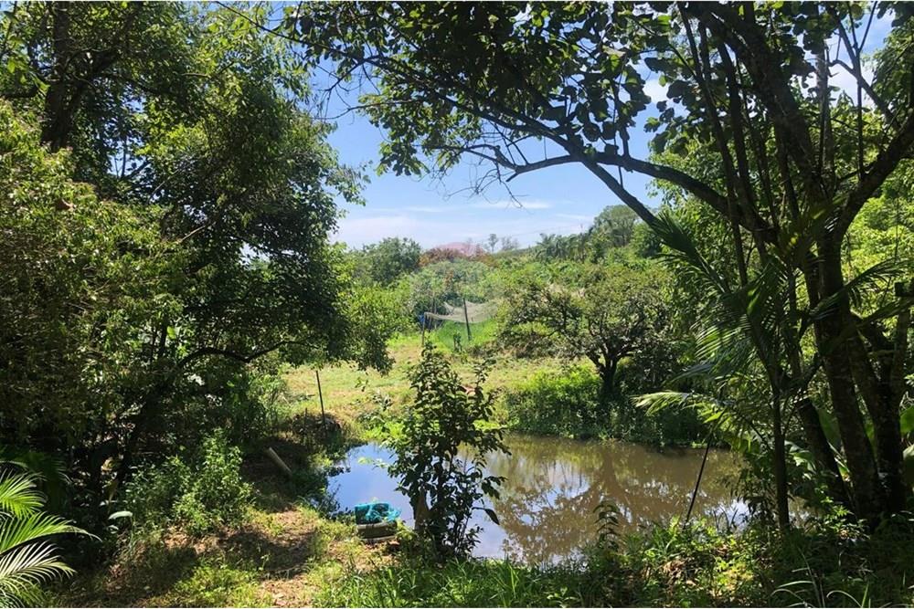 Chácara / Sítio / Fazenda - Venda - Santa Isabel , São Paulo - WhatsApp Image 2025-02-20 at 14.04.34 (19).jpeg - 631491020-25