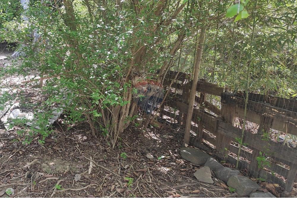 Terreno - Venda - Paraíba do Sul , Rio de Janeiro - IMG_20251106_135824.jpg - 631411001-102