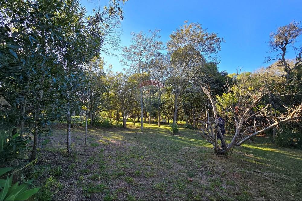 Chácara / Sítio / Fazenda - Venda - Pardinho , São Paulo - 20250730_162448.jpg - 630481103-118