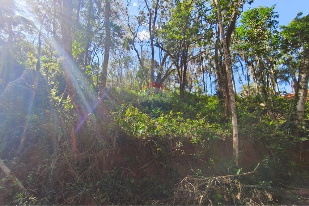 Terreno - Venda - Mairiporã , São Paulo - Terreno rafael 8.jpg - 631361059-12