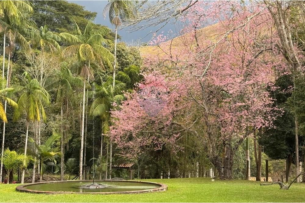 Chácara / Sítio / Fazenda - Venda - Bom Jardim , Rio de Janeiro - 1ba3d044-7c52-48c7-9610-4cac07e556be.jpg - 630171006-65