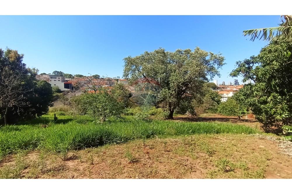 Terreno - Venda - Botucatu , São Paulo - 8-IMG_20251107_085344.jpg - Quintal - 630481103-134