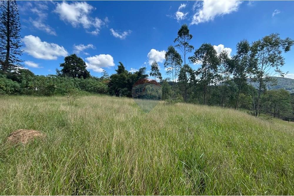 Terreno - Venda - Mairiporã , São Paulo - Imagem do WhatsApp de 2025-05-23 à(s) 14.46.37_ef3bfe9d.jpg - 631361005-127