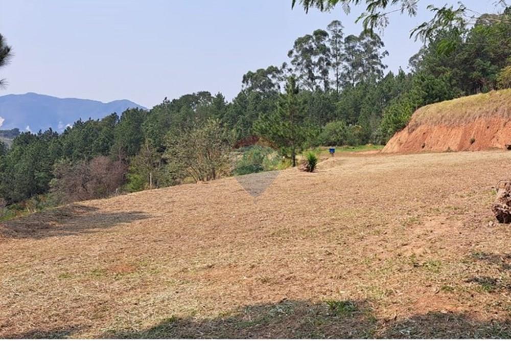 Chácara / Sítio / Fazenda - Venda - Araçariguama , São Paulo - IMG-20240913-WA0012.jpg - 631601010-7