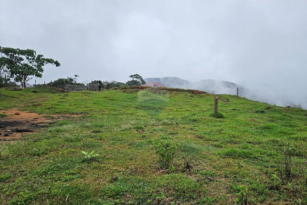 Residential - Lahan - Nova Friburgo , Rio De Janeiro - BR - 20241028_143324.jpg - 630551024-58