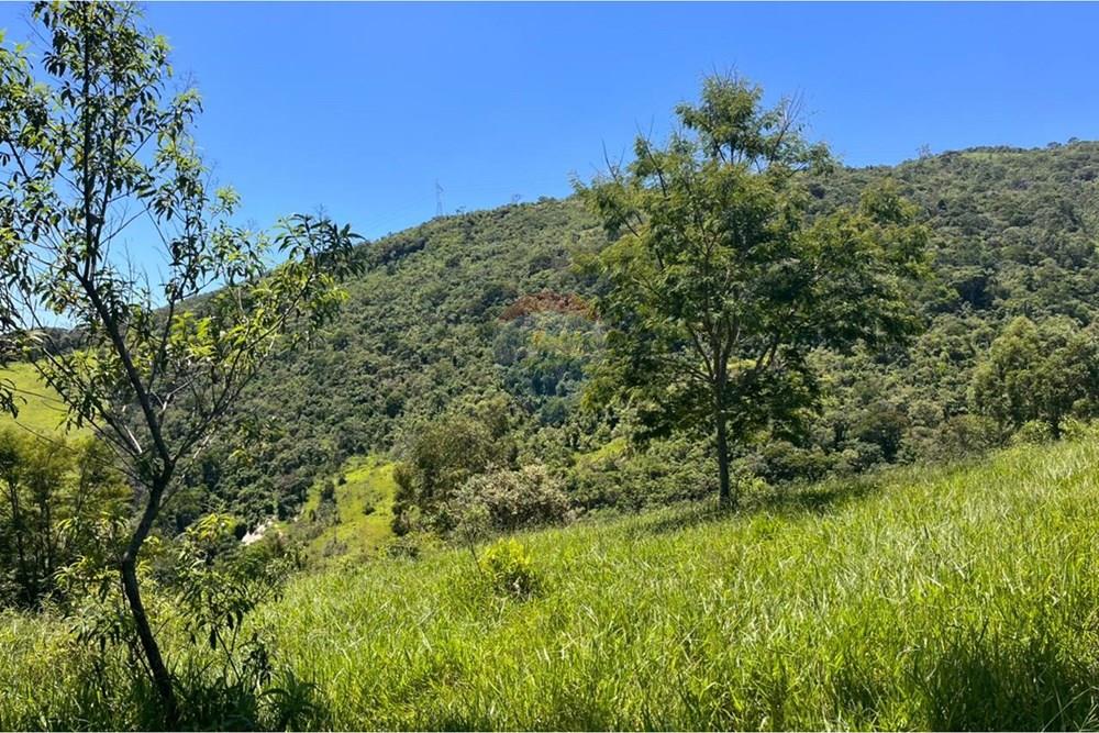 Terreno - Venda - Mogi das Cruzes , São Paulo - WhatsApp Image 2026-02-24 at 13.21.43.jpeg - 631251058-2