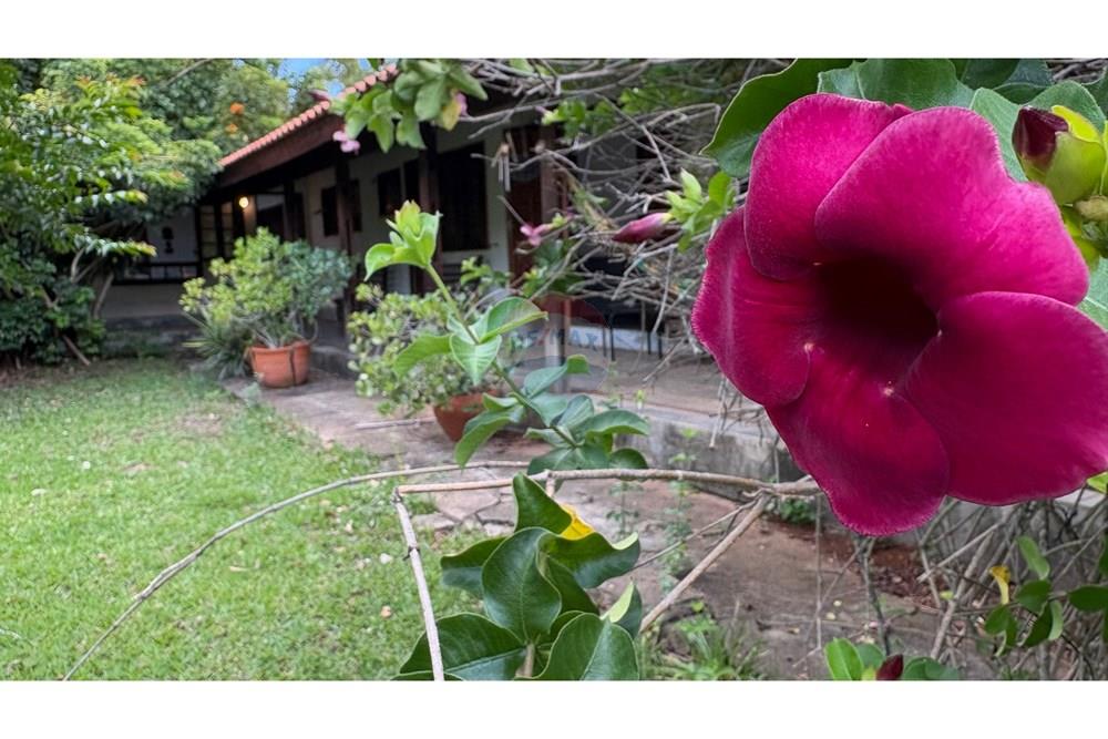 Chácara / Sítio / Fazenda - Venda - Porangaba , São Paulo - IMG_7041.jpeg - 630481027-141