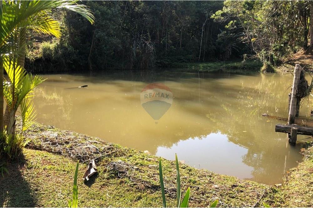 Chácara / Sítio / Fazenda - Venda - Monteiro Lobato , São Paulo - IMG-20240726-WA0083.jpg - 631431003-134