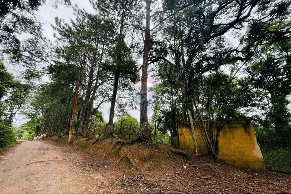 Chácara / Sítio / Fazenda - Venda - Mairiporã , São Paulo - WhatsApp Image 2026-02-15 at 15.05.37.jpeg - 631361077-13