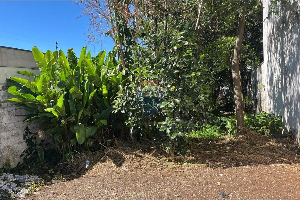 Terreno - Alugar - Mogi das Cruzes , São Paulo - WhatsApp Image 2025-07-25 at 13.32.35 (6).jpeg - 631251039-14