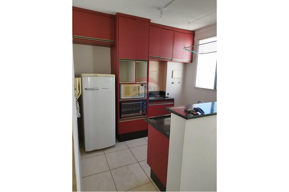 Apartamento - Alugar - Araçatuba , São Paulo - IMG-20251208-WA0091.jpg - 630541060-1