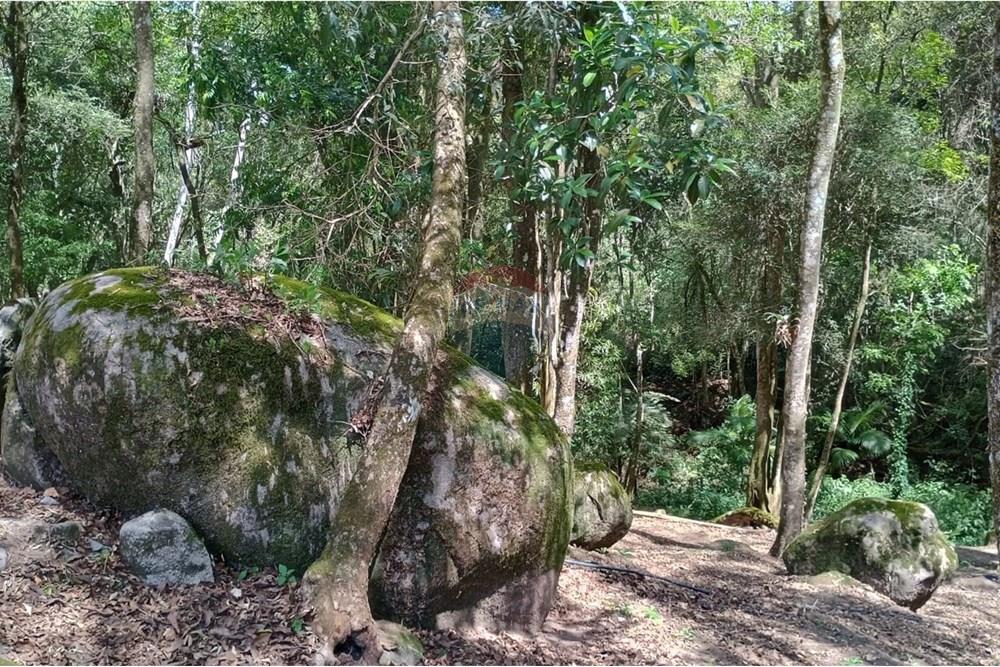 Chácara / Sítio / Fazenda - Venda - Ibiúna , São Paulo - WhatsApp Image 2025-10-26 at 08.04.32.jpeg - 631331032-6