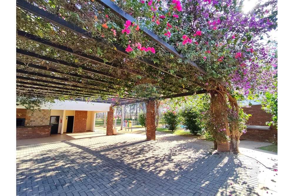 Terreno - Venda - Araçatuba , São Paulo - 1719422548192-01.jpeg - 630851059-65