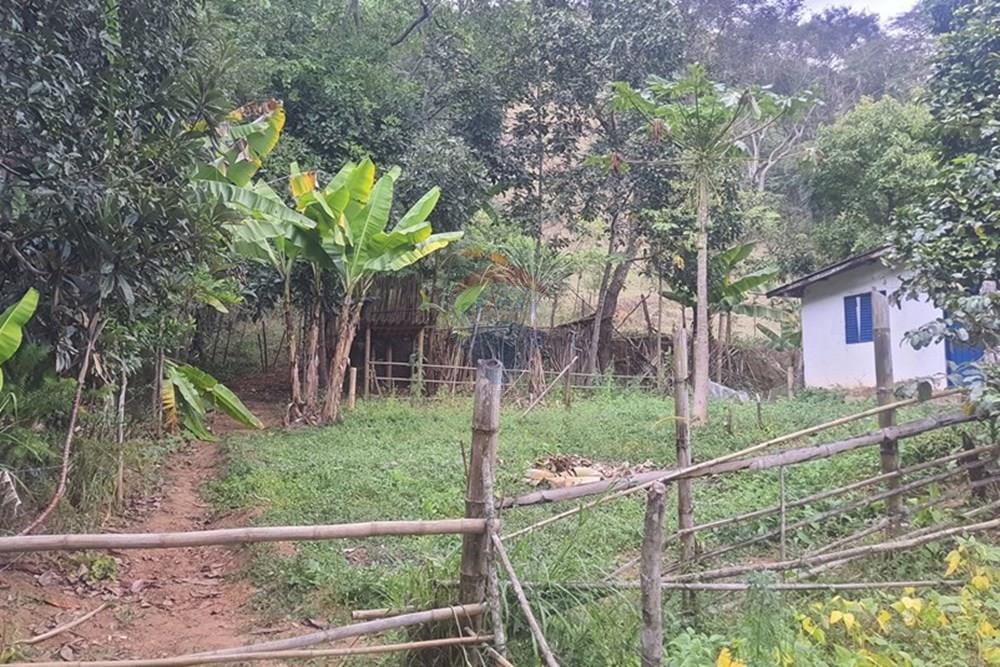 Fazenda - Venda - Teresópolis , Rio de Janeiro - 20250702_133122.jpg - 630191078-25