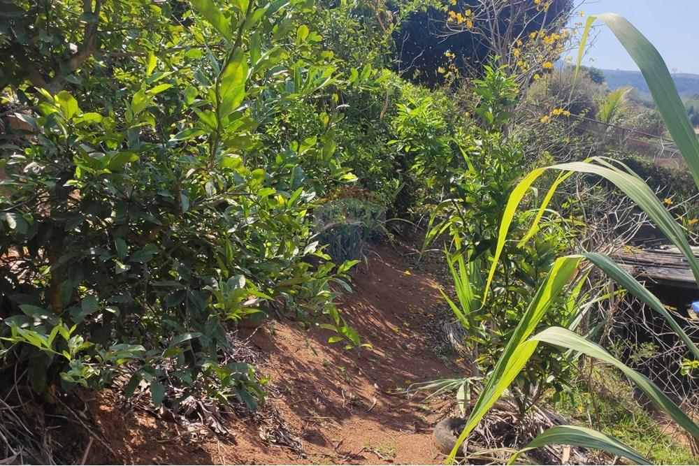 Terreno - Venda - Paraíba do Sul , Rio de Janeiro - IMG_20250911_133547.jpg - 631411007-4