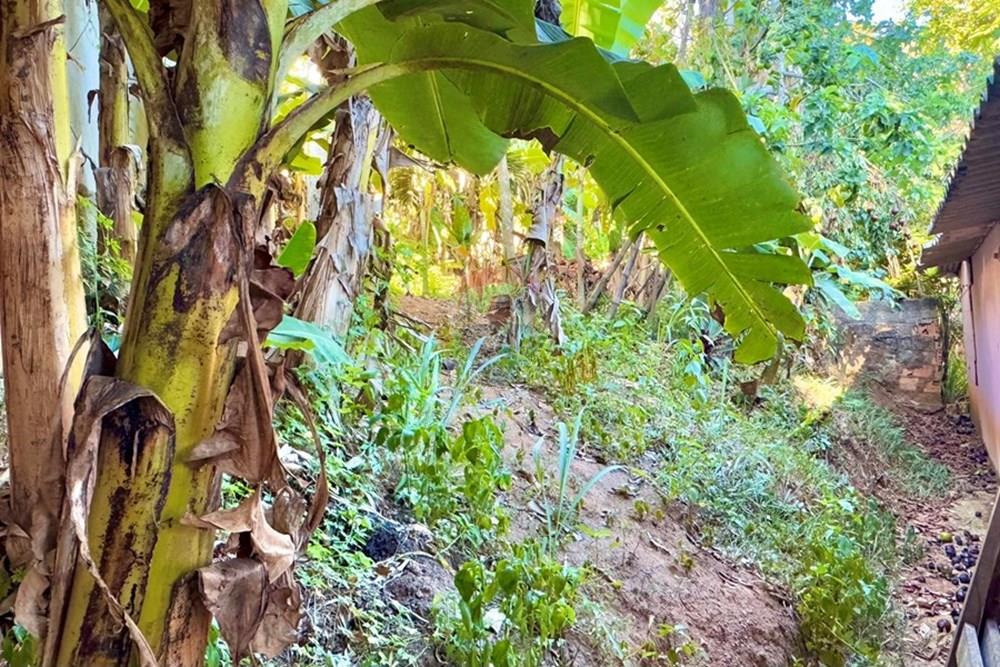 Kitnet - Venda - Armação dos Búzios , Rio de Janeiro - IMG_2723.jpeg - 630391108-2