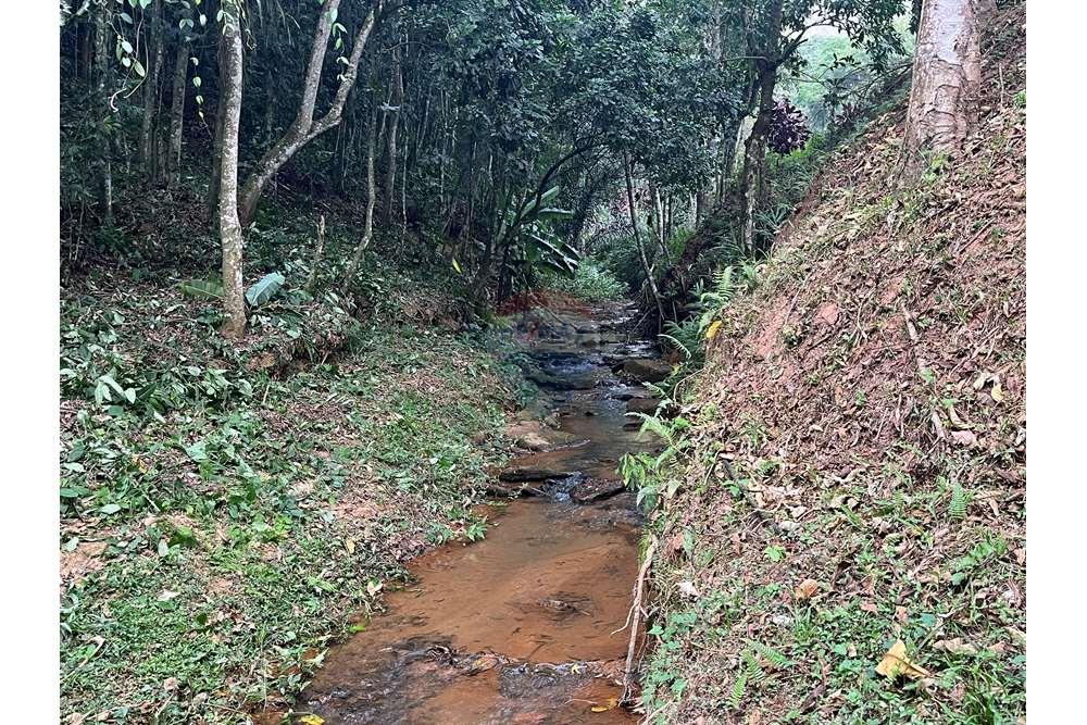 Chácara / Sítio / Fazenda - Venda - Miguel Pereira , Rio de Janeiro - IMG_2583.JPG - 631261002-81