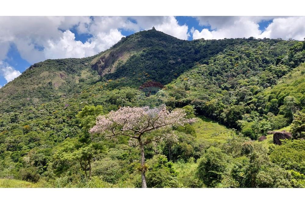 Chácara / Sítio / Fazenda - Venda - Macaé , Rio de Janeiro - bc45f126-ac01-4981-b0b6-696376e4507d.jpeg - 630361003-106