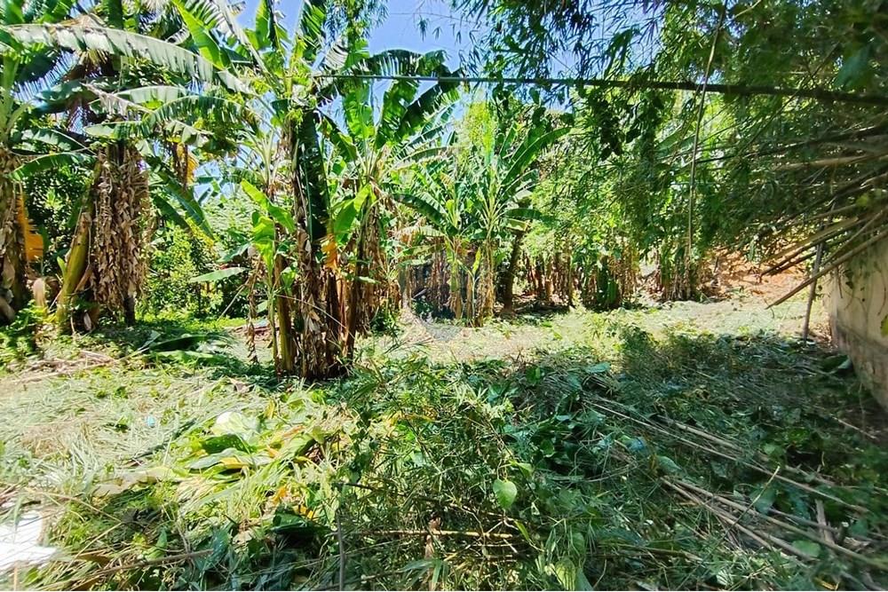 Terreno - Venda - Nova Iguaçu , Rio de Janeiro - WhatsApp Image 2025-12-29 at 16.27.44 (4).jpeg - 630291063-35