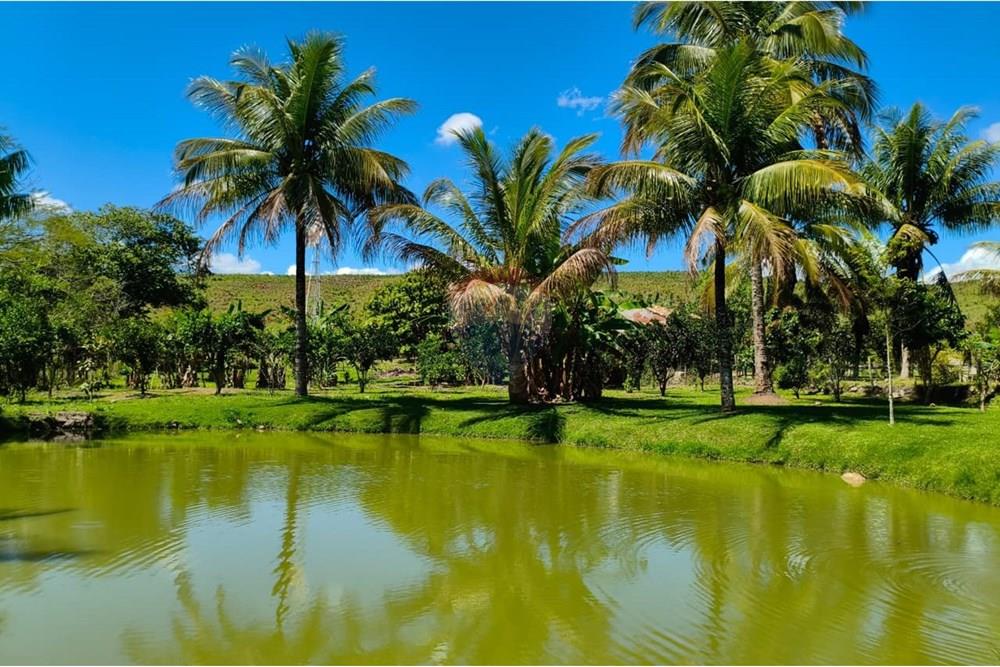 Chácara / Sítio / Fazenda - Venda - Rio Bonito , Rio de Janeiro - WhatsApp Image 2025-09-22 at 14.45.57.jpeg - 631351005-11