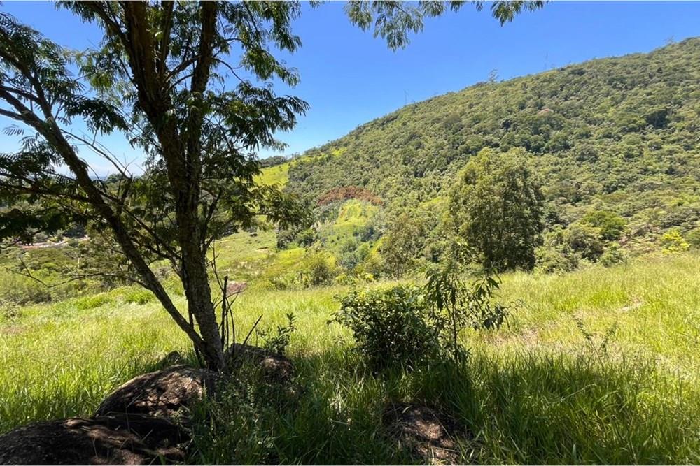 Terreno - Venda - Mogi das Cruzes , São Paulo - WhatsApp Image 2026-02-24 at 13.22.122.jpeg - 631251058-2