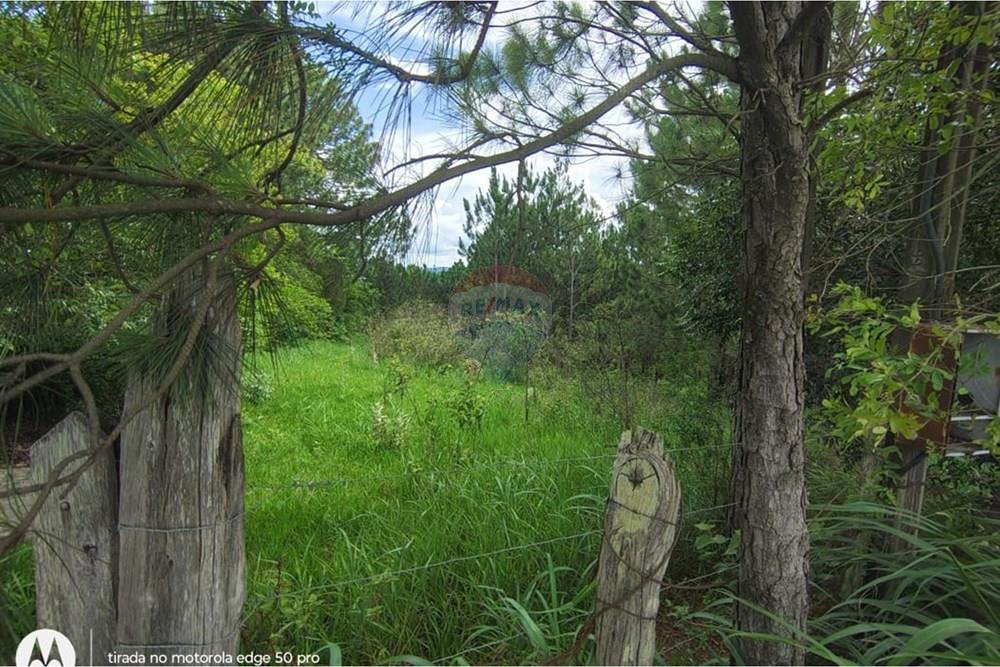 Terreno - Venda - Boituva , São Paulo - WhatsApp Image 2026-03-24 at 15.30.09 (2).jpeg - 630601260-17