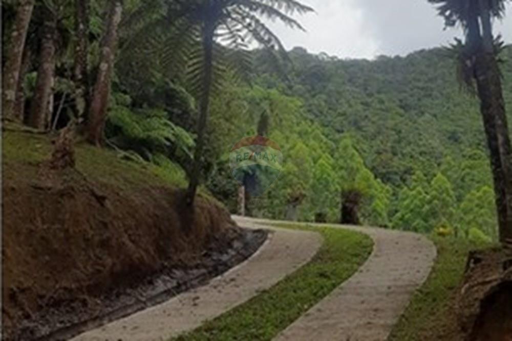 Chácara / Sítio / Fazenda - Venda - Nova Friburgo , Rio de Janeiro - 20250224_142332.jpg - 630551016-153